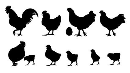 Chickens in pasture silhouette farm pets.