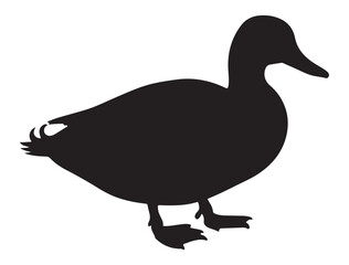 DUCK SILHOUETTE WHITE BACKGROUND