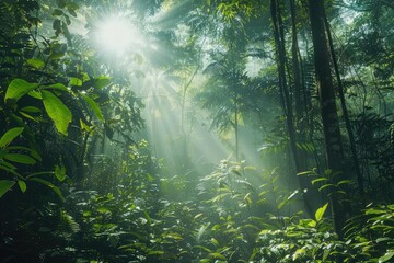 Lush jungle forest bathed in sunlight beams.