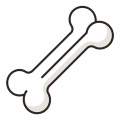 skeleton key isolated on white