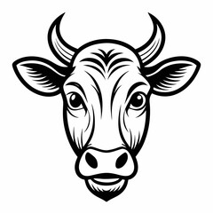 head of a cow
