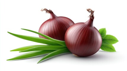 Realistic Onions on Plan white Background