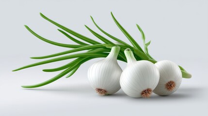 Realistic Onions on Plan white Background