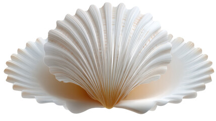 Seashell in Close-up:  A delicate scallop seashell, capturing the intricate beauty of its ridged exterior.  