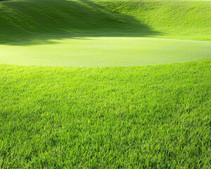 Green grass field with sunlight, flat surface, outdoor landscape, peaceful and natural with copy space