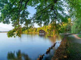 Obraz premium Der Starnberger See im Morgenlicht, Tutzing, Bayern, Deutschland, Europa