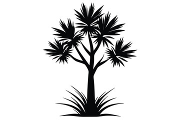 Fototapeta premium Silhouette tree shows spiky leaves and lush grass, creating a stark contrast