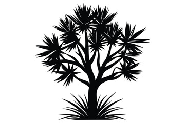 Black silhouette showcases a spiky Joshua tree standing over a bed of spiky grass