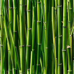 Obraz premium A close up of green bamboo shoots. Concept of calm and tranquility, as the bamboo is a symbol of peace and harmony in many cultures
