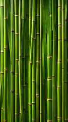 Obraz premium A row of green bamboo plants with brown tips. The bamboo is tall and straight, with a few brown spots on the tips. The image has a serene and peaceful mood, as the bamboo plants are arranged in a neat