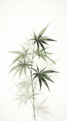 Fototapeta premium Cannabis leaf plant herbs fragility.