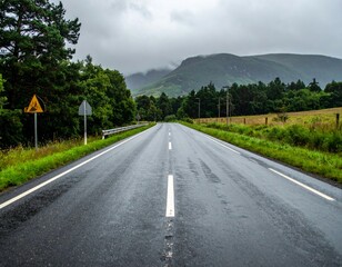 Fototapeta premium Serene Wet Road Under Cloudy Sky Amidst Lush Green Landscape