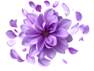 Lilac Petal Burst with Bloom Center – Transparent Background