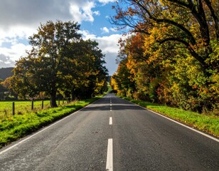 Fototapeta premium Serene Autumn Road Surrounded by Colorful Trees and Blue Sky