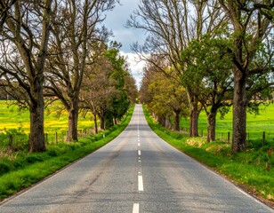 Fototapeta premium Scenic Tree-Lined Road with Vibrant Green Fields and Blue Sky