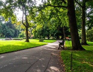Serene Park Pathway Surrounded by Lush Green Trees and Benches