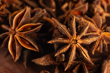 Fennel is a traditional spice for cooking food. It is also called bajiao and is a natural plant seasoning.