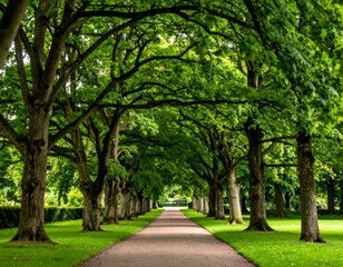 Serene Tree-Lined Pathway Through Lush Green Park Landscape