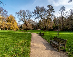 Fototapeta premium Serene Park Pathway with Benches and Lush Greenery under Blue Sky