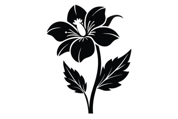 Isolated black flower with pistil on stem, with two leaves stands alone