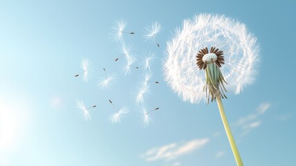 Dandelion Seeds Blowing in the Wind Against Blue Sky wind blowing sky seed blue sky clear sky nature