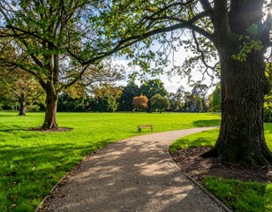 Serene Park Pathway Surrounded by Greenery and Tall Trees