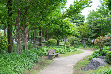 Lush Green Park Trail on a Sunny Day