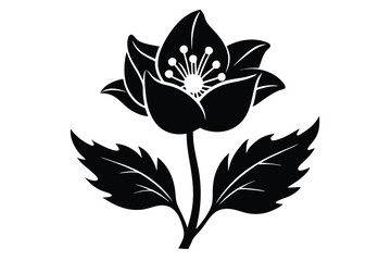 Single hellebore flower in black silhouette features detailed leaves and unique stamen design