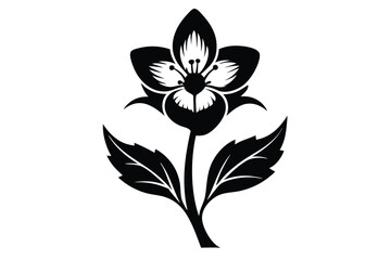 Isolated hellebore flower with stem and leaves presents a striking floral silhouette