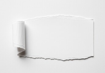 Torn white paper with curled edge on a white background for text insertion