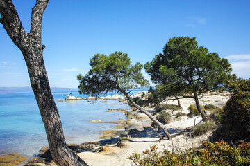 Sithonia coastline near Karydi Beach, Chalkidiki, Greece