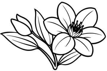 Fototapeta premium Black outline depicts a beautiful flower blossoming with buds, offering botanical elegance in monochrome