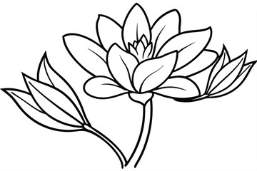 Elegant single water lily sketch showcases detailed petals and stems in monochrome style