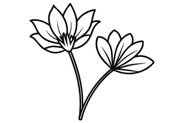 Two delicate outlined floral designs exhibit clear, defined petals on white expanse