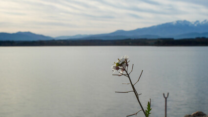 Mountain lake in the south of France, Villeneuve de la Rao, atmosphere, vacation, holidays, place to relax, golden hour