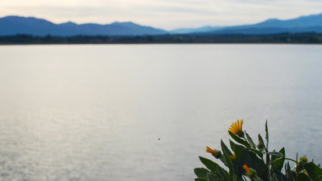 Mountain lake in the south of France, Villeneuve de la Rao, atmosphere, vacation, holidays, place to relax, golden hour