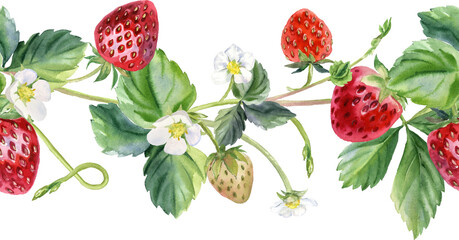 Watercolor Strawberry Seamless Borders – Hand-Painted Floral & Berry Patterns, A vibrant and realistic watercolor strawberry illustration, perfect for packaging, menus, invitations, cards