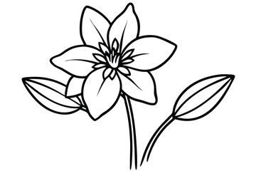 Fototapeta premium Detailed outline portrays a blossom with six petals and elongated leaves in monochrome