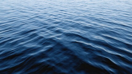 Naklejka premium Calm deep water surface, tranquil blue waves undulating gently, serene natural backdrop perfect for relaxation themes.
