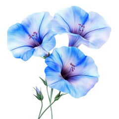 Vibrant Blue Flowers