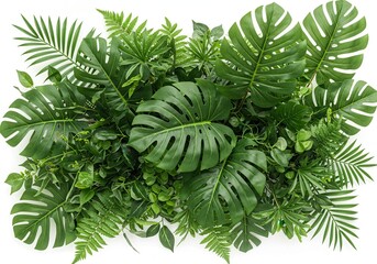 Lush green arrangement featuring monstera leaves and ferns against a white background