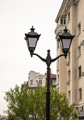 Beautiful street lamp with two lamps on the background of the building facade, vertical