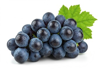 Fresh concord grapes with water droplets and a green leaf isolated on a white background, a healthy snack