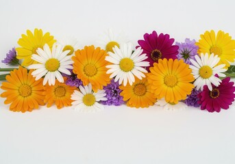 Colorful arrangement of daisies, calendula, and gerbera flowers displayed on a plain white surface