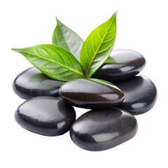 Zen Stones and Leaves: Spa Relaxation Background Image