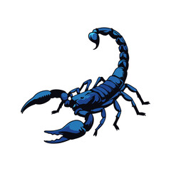scorpion vector illustration on white background