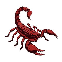 scorpion vector illustration on white background