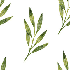 Stylized minimalist modern watercolor botanical pattern. Wallpaper, textile seamless background. Green foliage pattern.