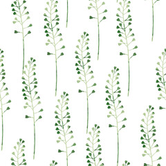 Stylized minimalist modern watercolor botanical pattern. Wallpaper, textile seamless background. Green foliage pattern. Shepherds purse meadow plant.