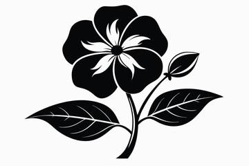 Isolated monochrome flower displays blossoming bloom with leaves and bud on the white background